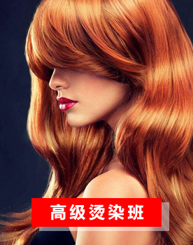 高级烫染班